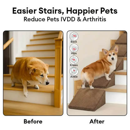 Modular Foam Dog Ramp Steps for Staircase Stairs with Velcro