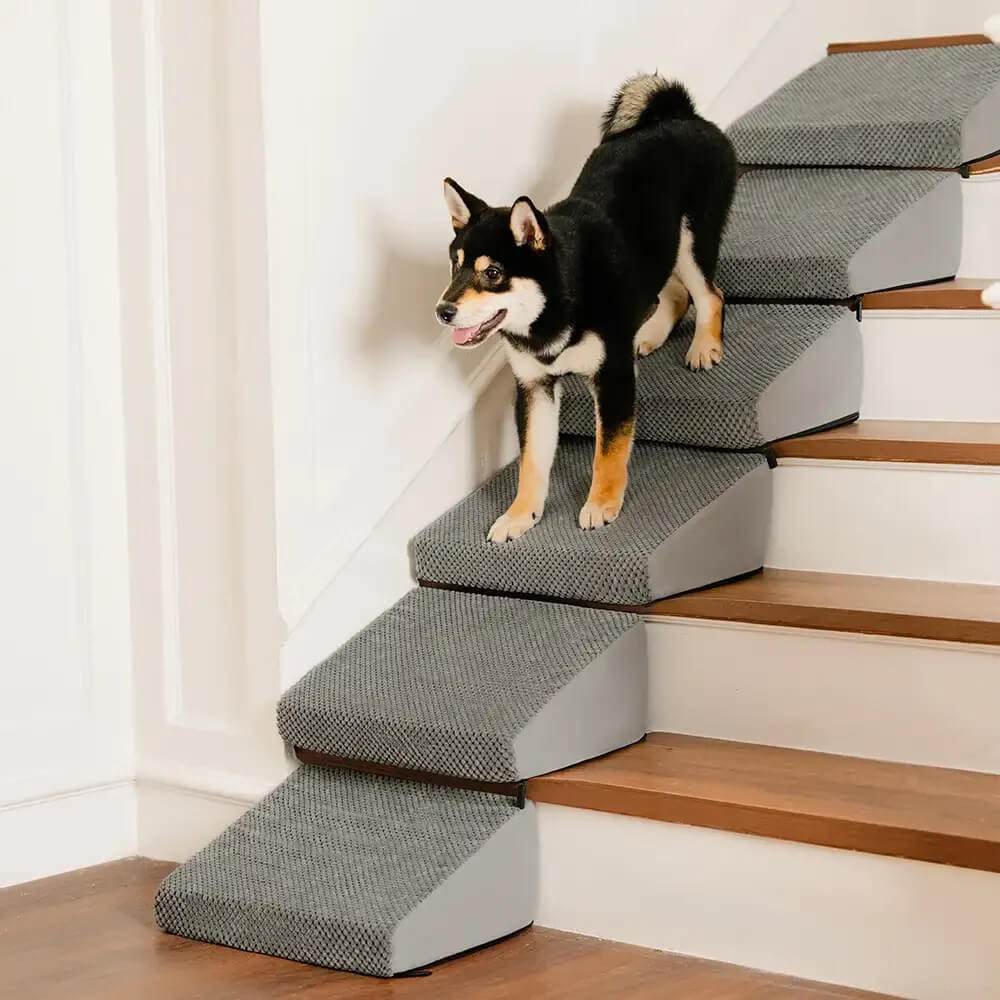 Modular Foam Dog Ramp Steps for Staircase Stairs with Velcro