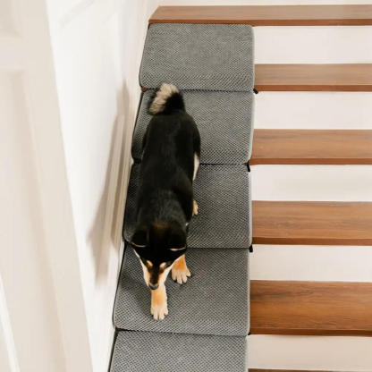 Modular Foam Dog Ramp Steps for Staircase Stairs with Velcro