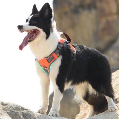 Multifunction Explosion-Proof Anti Pull Harness Medium to Large Dog Harness