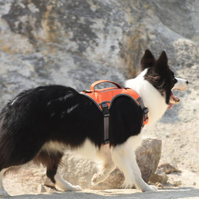 Multifunction Explosion-Proof Anti Pull Harness Medium to Large Dog Harness