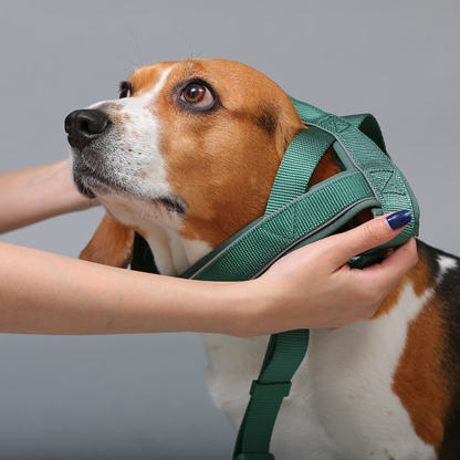 Nylon Adjustable Reflective No-Pull Dog Harness Collar and Lead
