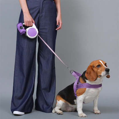 Nylon Adjustable Reflective No-Pull Dog Harness Collar and Lead