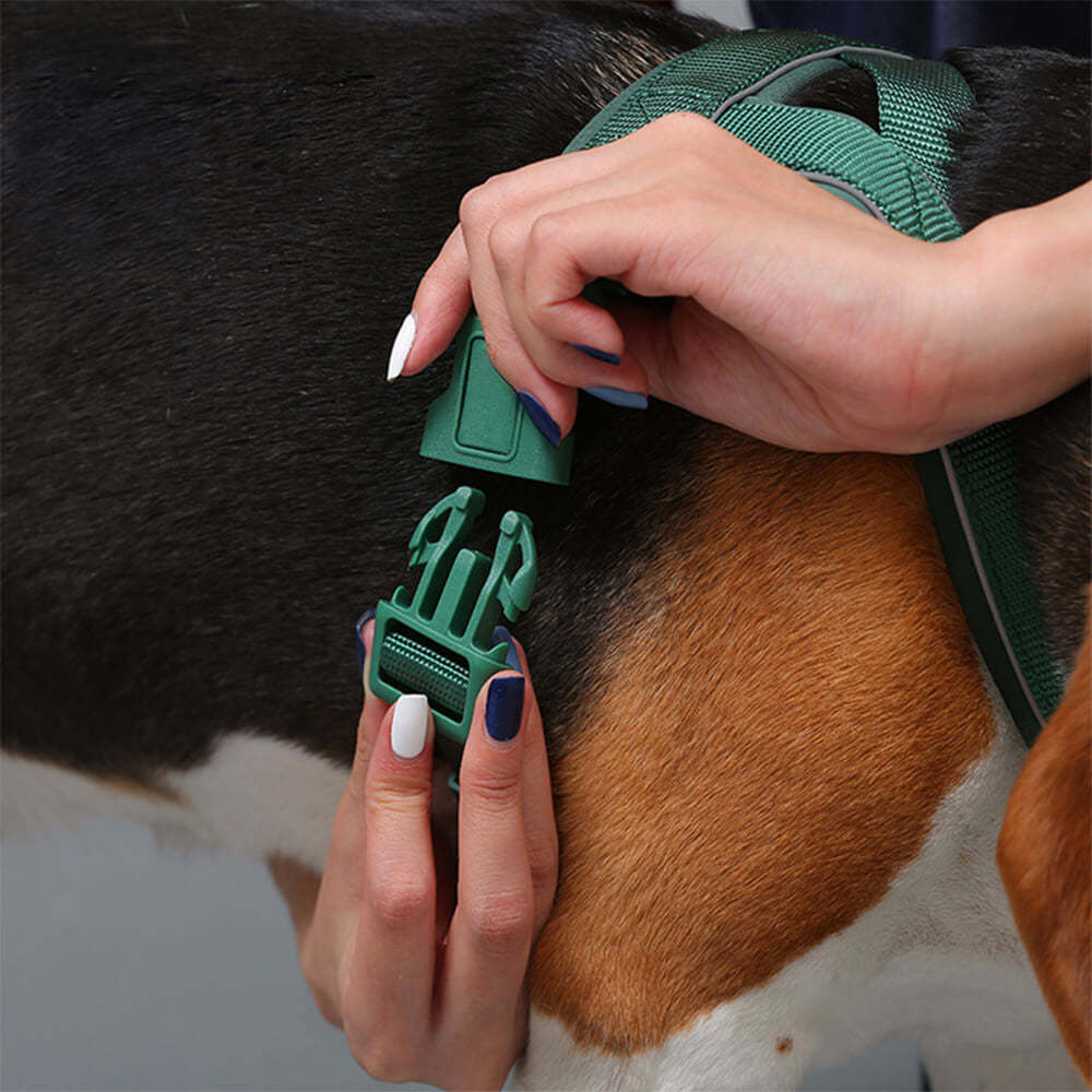 Nylon Adjustable Reflective No-Pull Dog Harness Collar and Lead