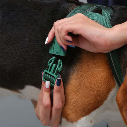Nylon Adjustable Reflective No-Pull Dog Harness Collar and Lead
