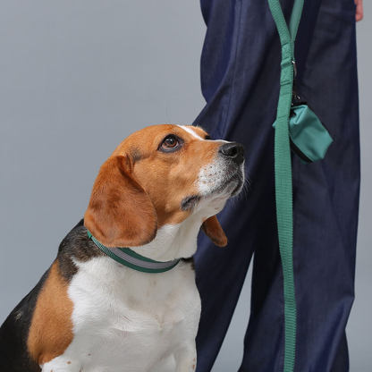 Nylon Adjustable Reflective No-Pull Dog Harness Collar and Lead