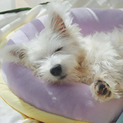 Orthopaedic Spine-Support Pillow Dog Sleep Pillow