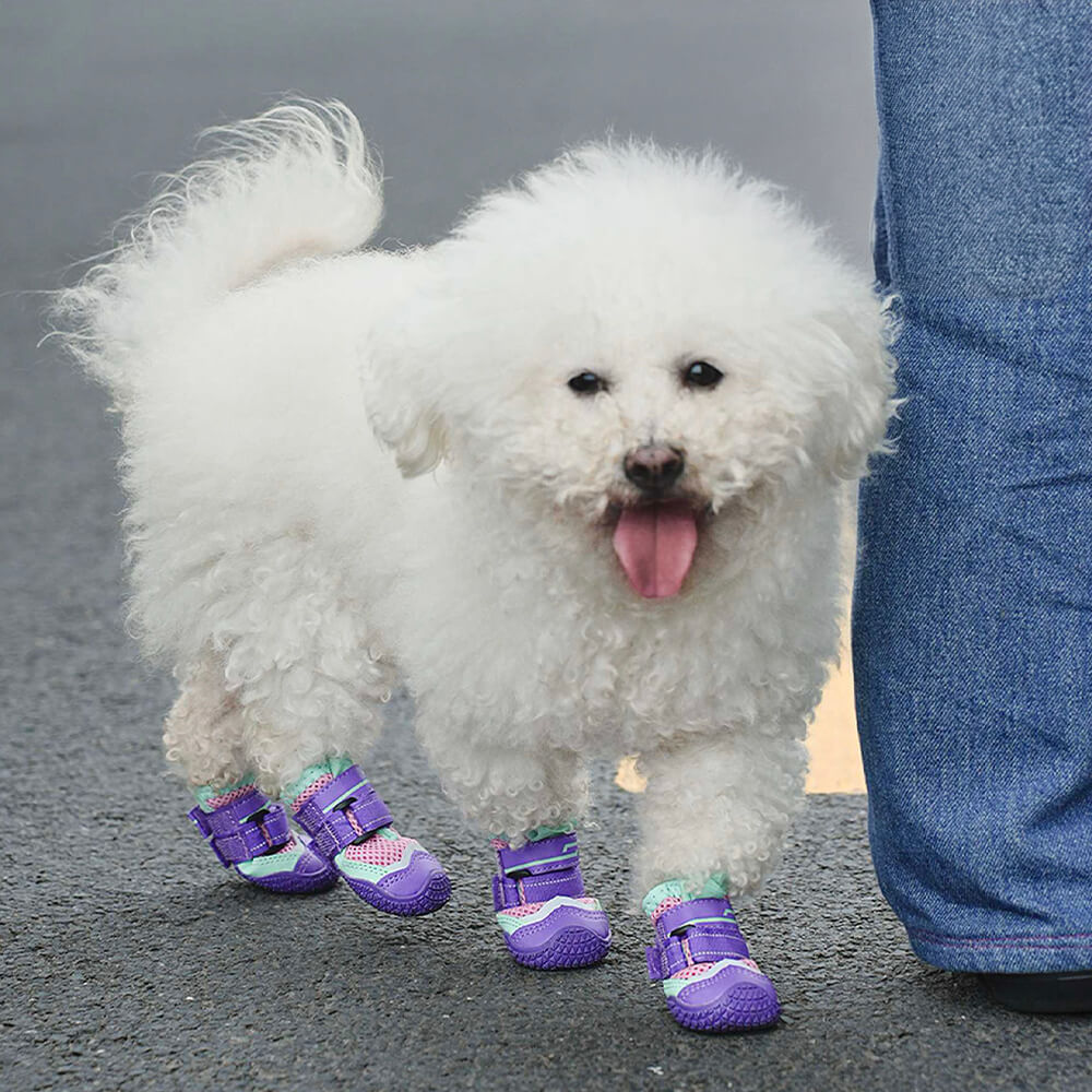 Dog Boots FunnyFuzzy