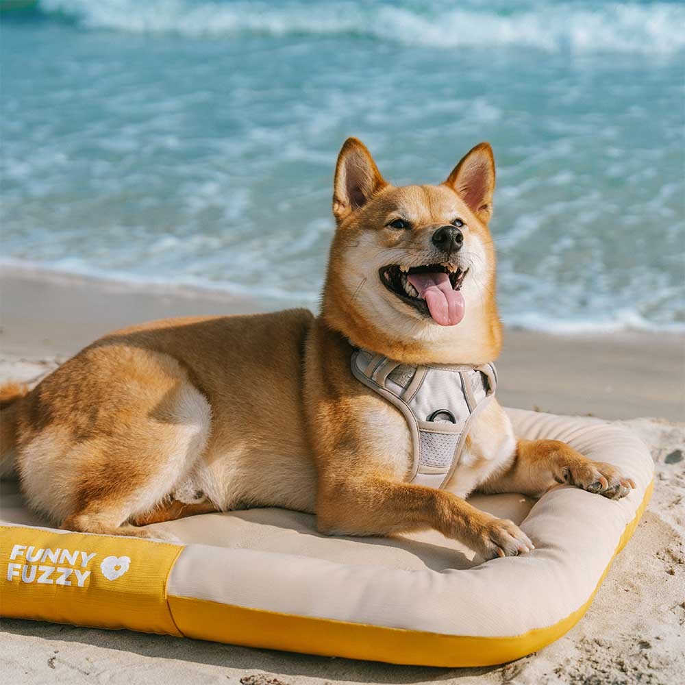 Outdoor Waterproof & Scratch-Resistant Color-Blocked Orthopedic Dog Mat - Trek Lounge