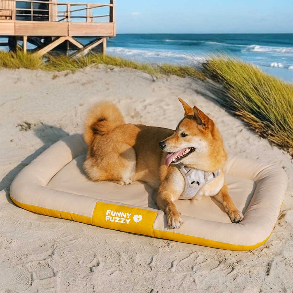 Outdoor Waterproof & Scratch-Resistant Color-Blocked Orthopedic Dog Mat - Trek Lounge