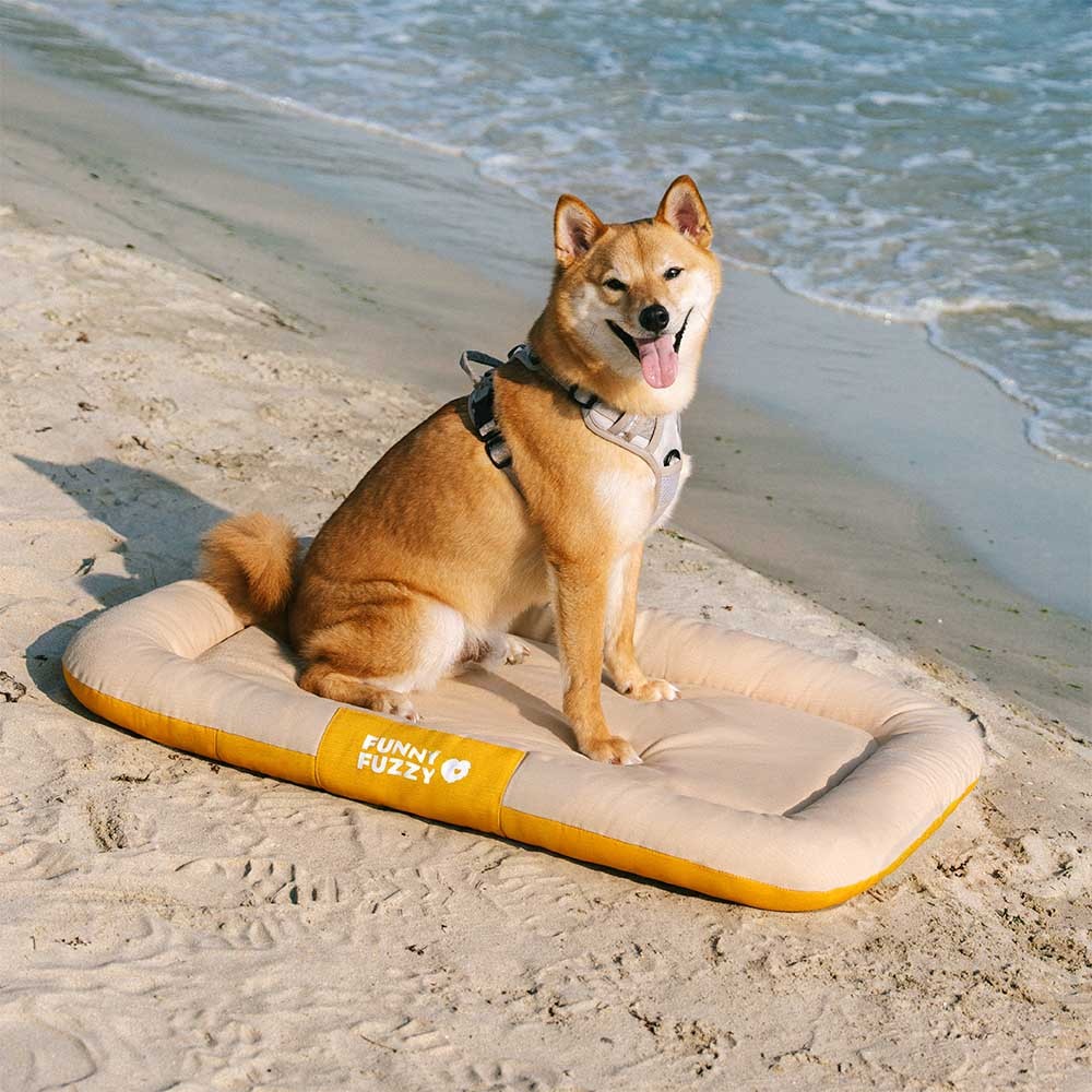 Outdoor Waterproof & Scratch-Resistant Color-Blocked Orthopedic Dog Mat - Trek Lounge