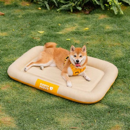 Outdoor Waterproof & Scratch-Resistant Color-Blocked Orthopedic Dog Mat - Trek Lounge