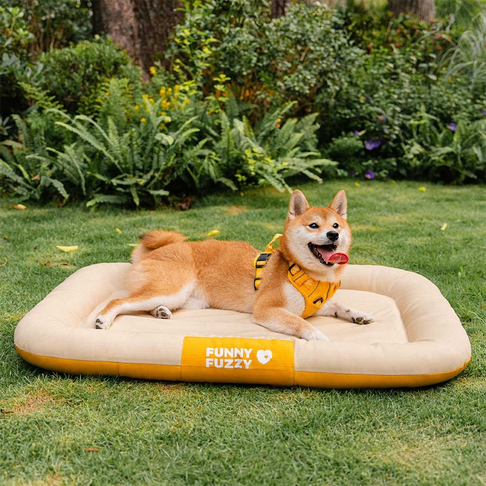 Outdoor Waterproof & Scratch-Resistant Color-Blocked Orthopedic Dog Mat - Trek Lounge