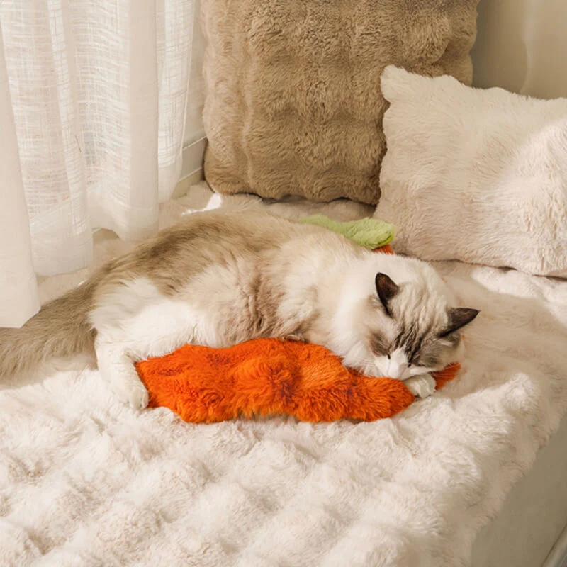 Persimmon Plush Pet Sleeping Pad