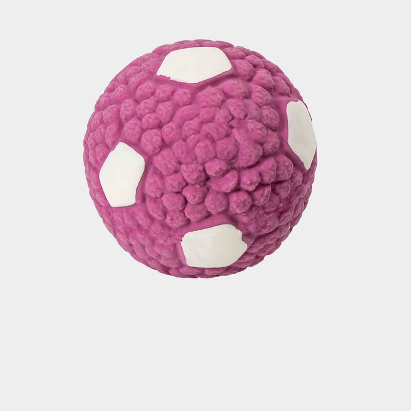 Pet Latex Squeaky Ball Toy Durable Interactive Dog Chew Toy FunnyFuzzy