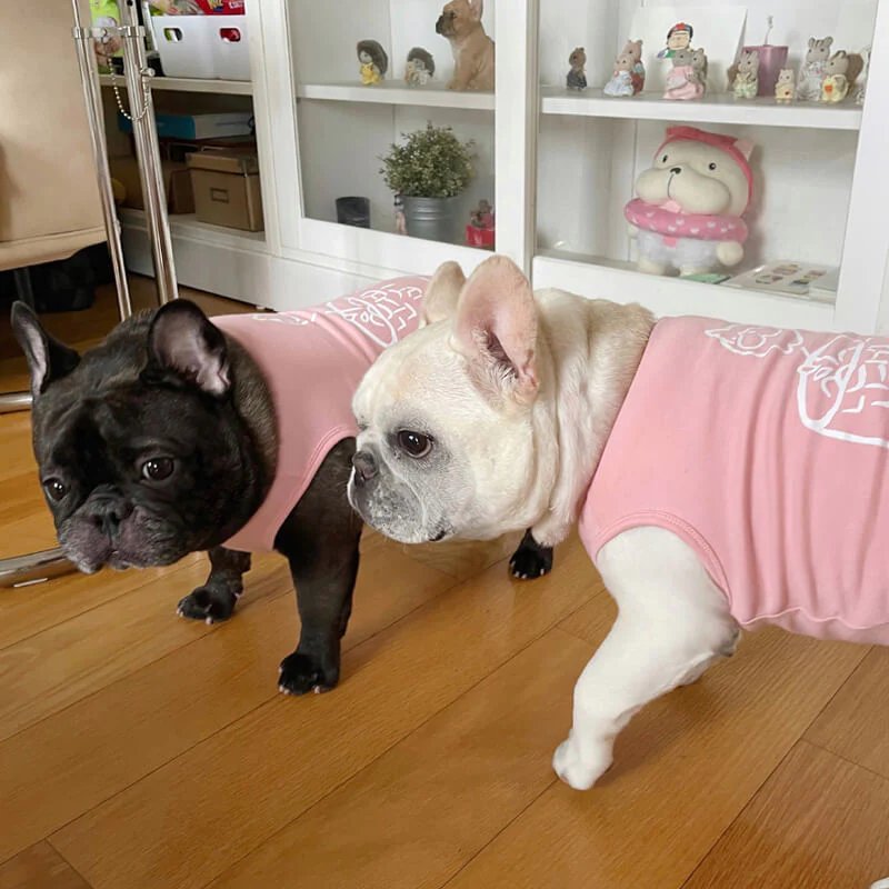 Pink Matching T-Shirts and Puppy Vest Set for Dog and Owner