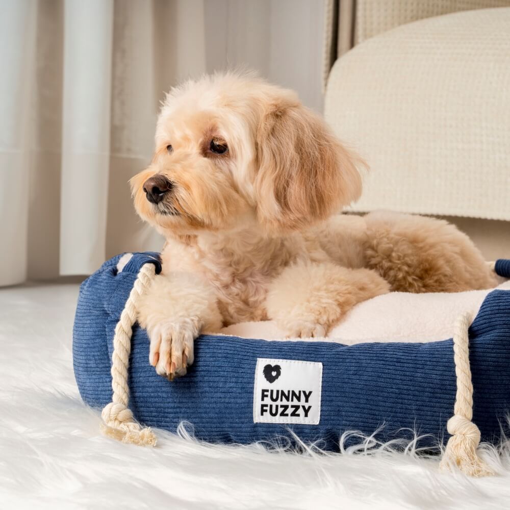 Playful Pull Rope Pet Bed Adjustable Chew-Resistant Dog & Cat Bed