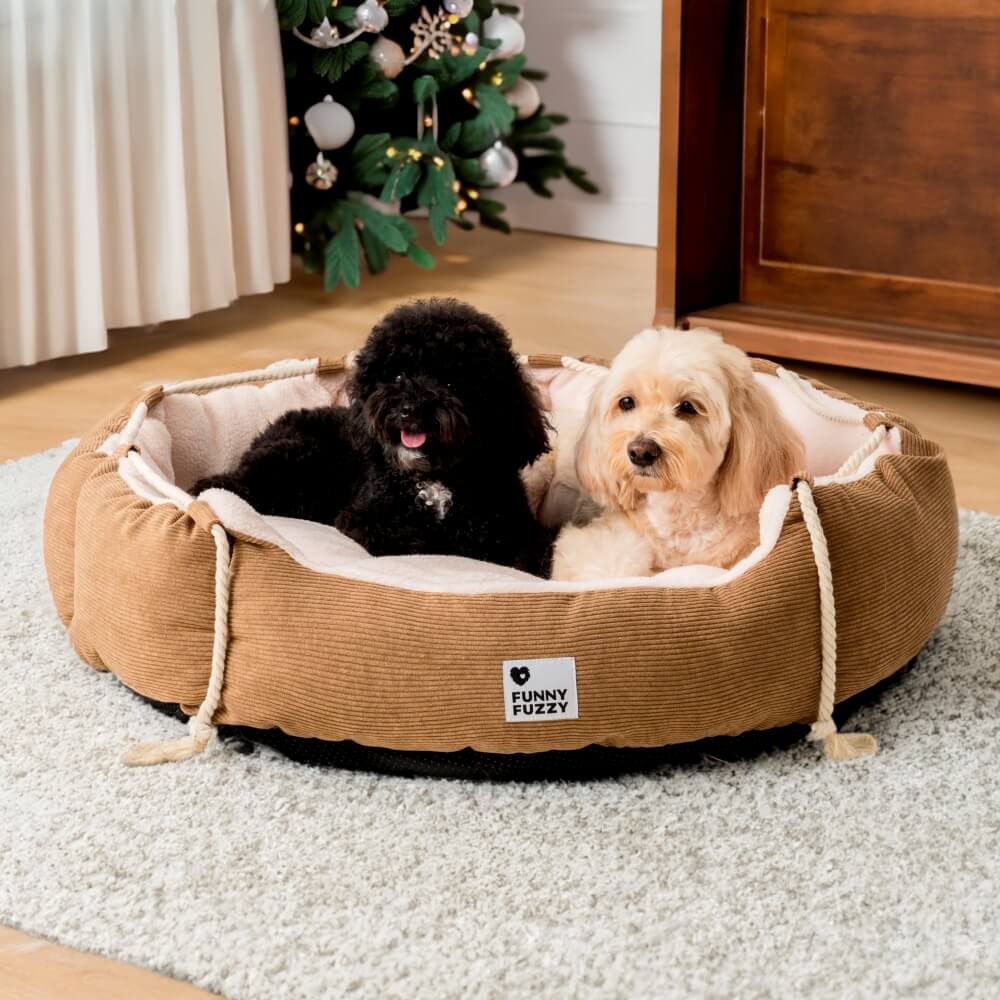 FunnyFuzzy's Bed for Pet