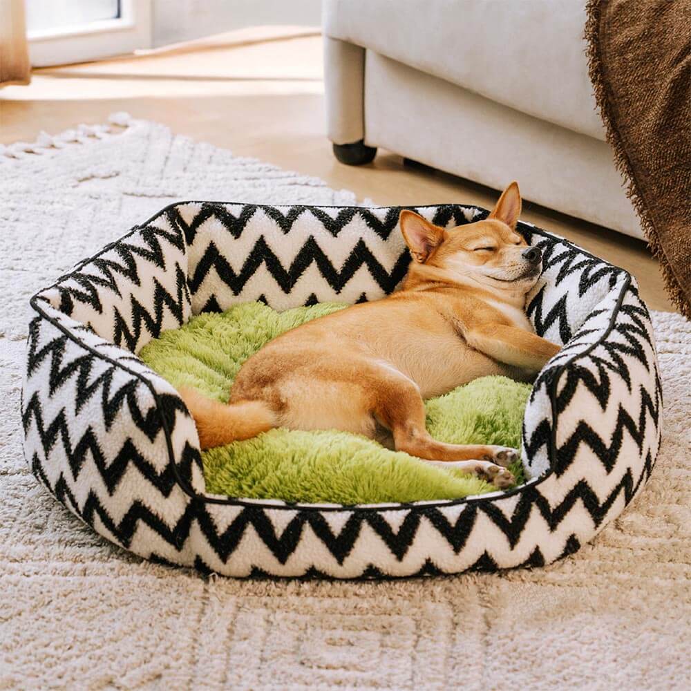 Body Vegetable Blanket Dog Beds Contour hot Bed Creative Soft Fruit Plush Toy Simula