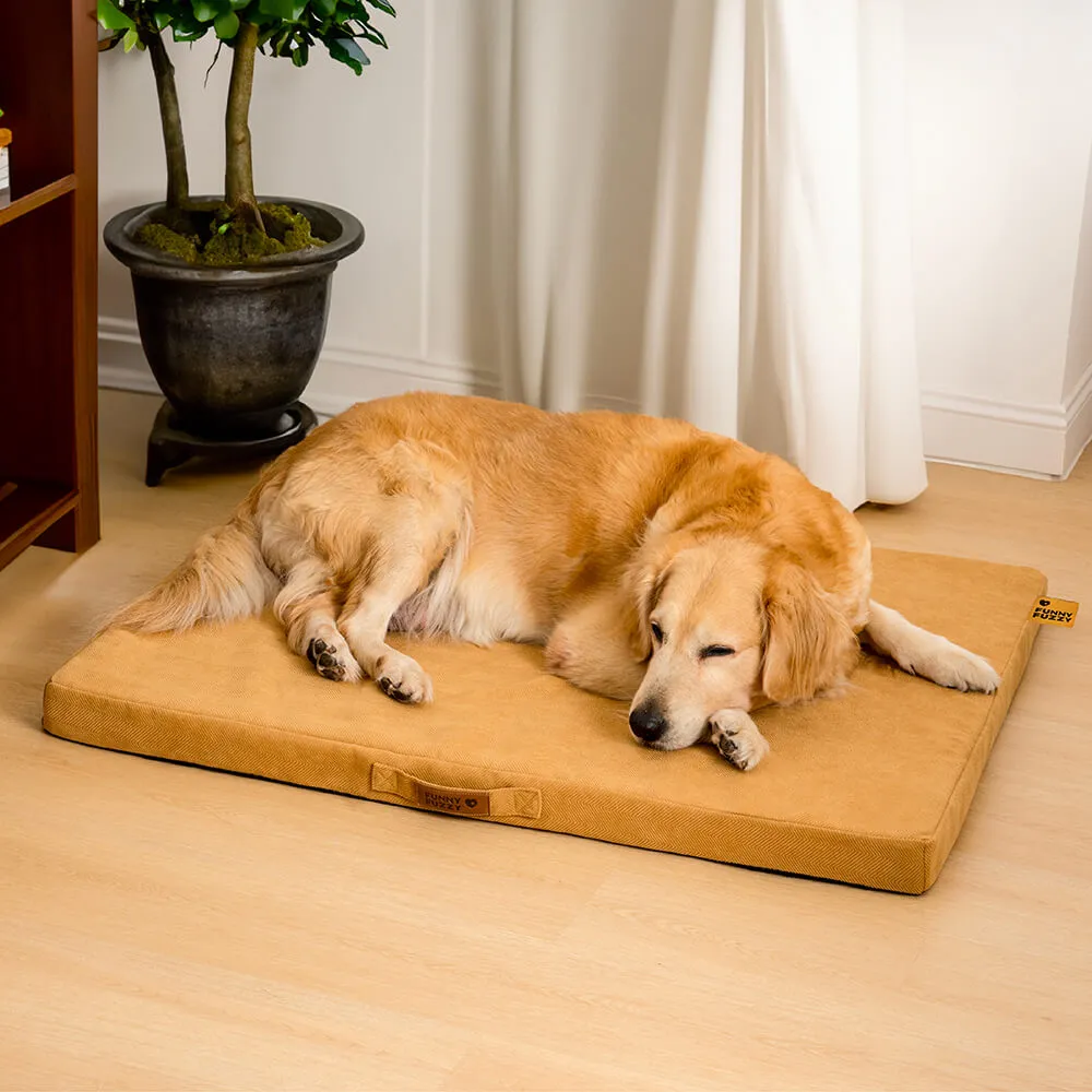 hard bed for dogs