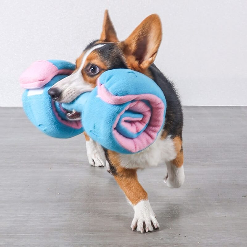 Puzzle Food Dispenser Interactive Dog Dumbbell Treat Toy-FunnyFuzzy