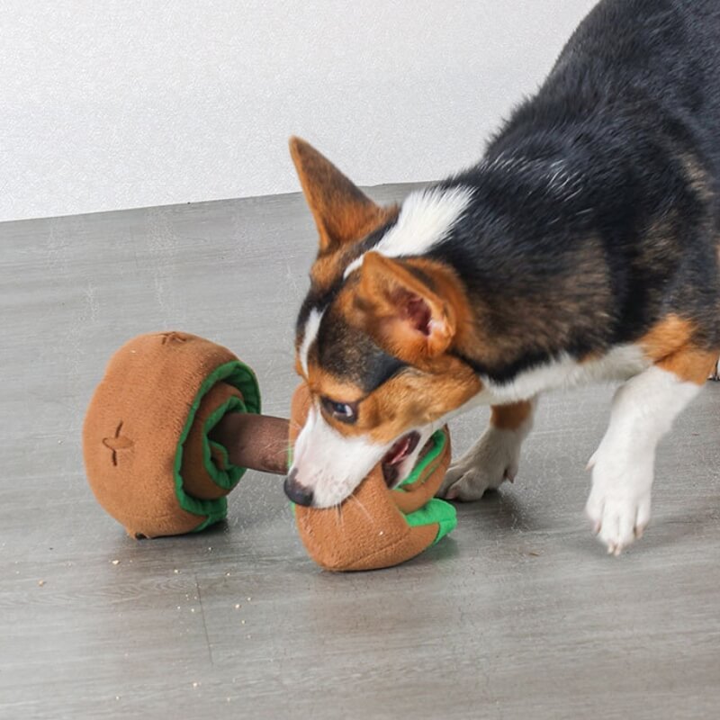Puzzle Food Dispenser Interactive Dog Dumbbell Treat Toy-FunnyFuzzy