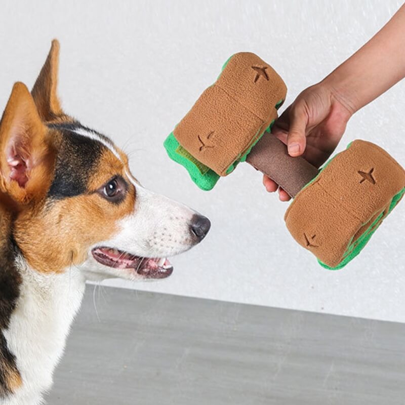 Puzzle Food Dispenser Interactive Dog Dumbbell Treat Toy-FunnyFuzzy