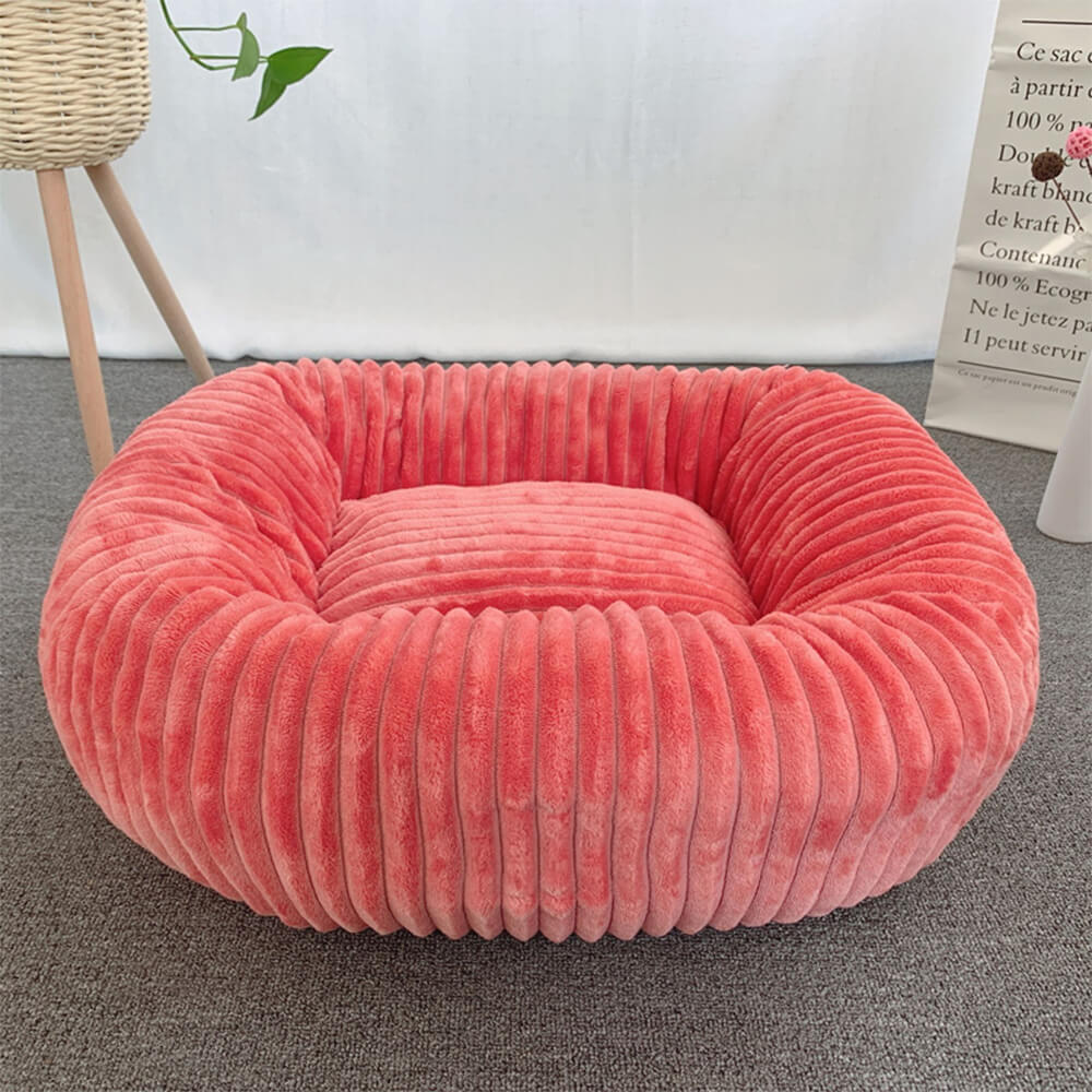 Cat chair bed best sale