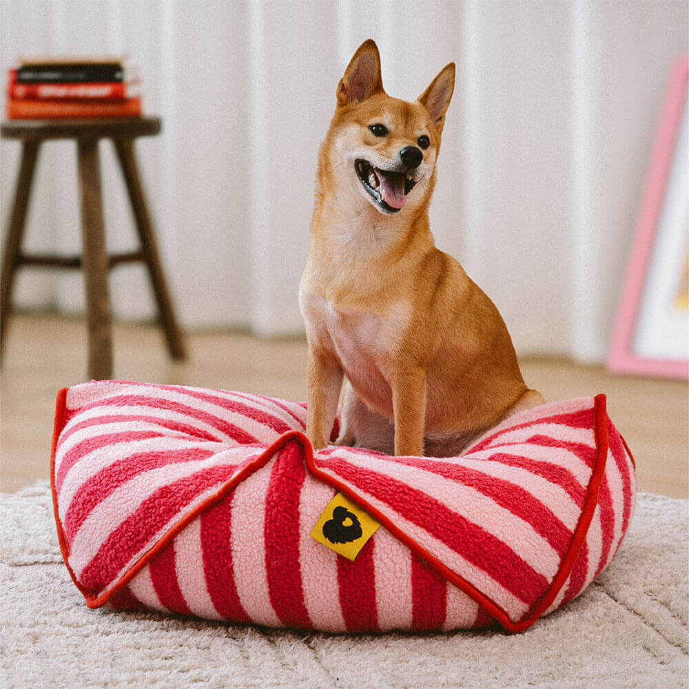 Trendy Striped Pattern Polygonal Pet Bean Bag Chair