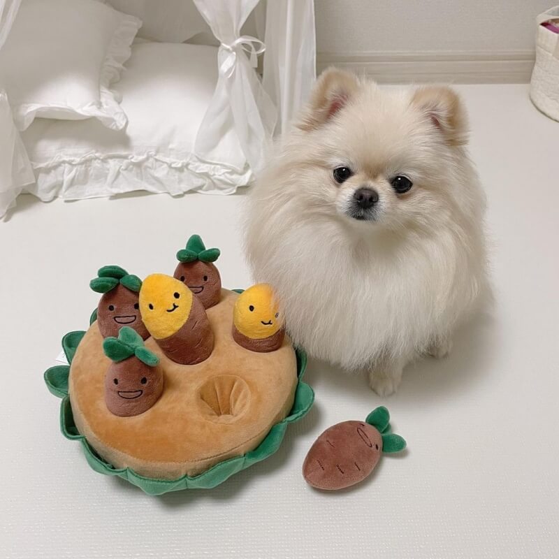 Sweet Potato Pull and Sniff Interactive Dog Puzzle Toy Set