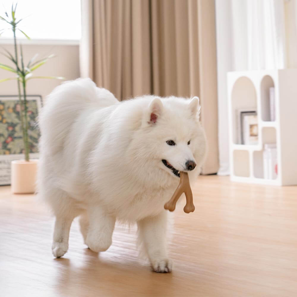  Bacon Flavoured Durable Teething Bones Dog Chew Toy