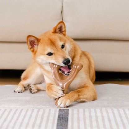  Bacon Flavoured Durable Teething Bones Dog Chew Toy