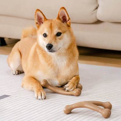  Bacon Flavoured Durable Teething Bones Dog Chew Toy