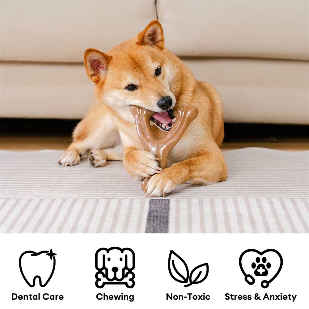  Bacon Flavoured Durable Teething Bones Dog Chew Toy