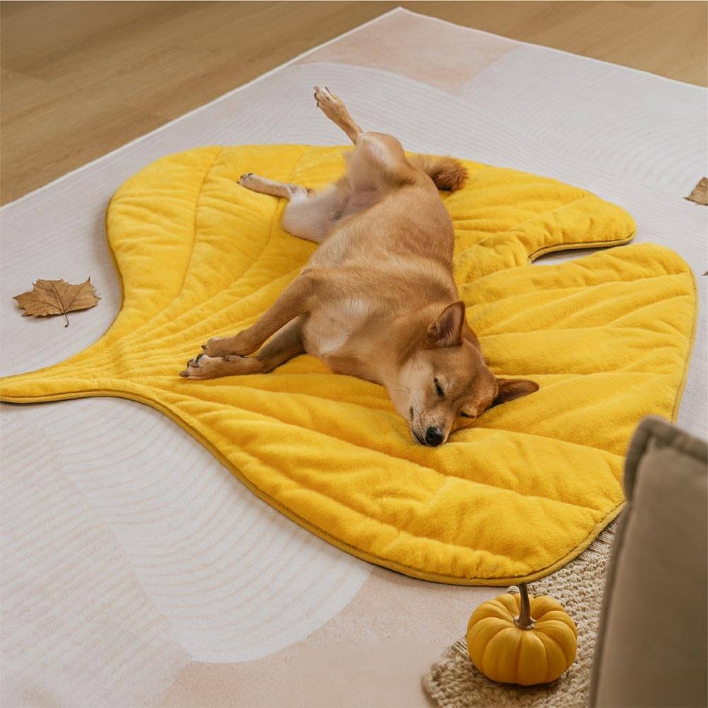 The Leaf Collector - Plush Leaf-Shaped Washable Dog Mat