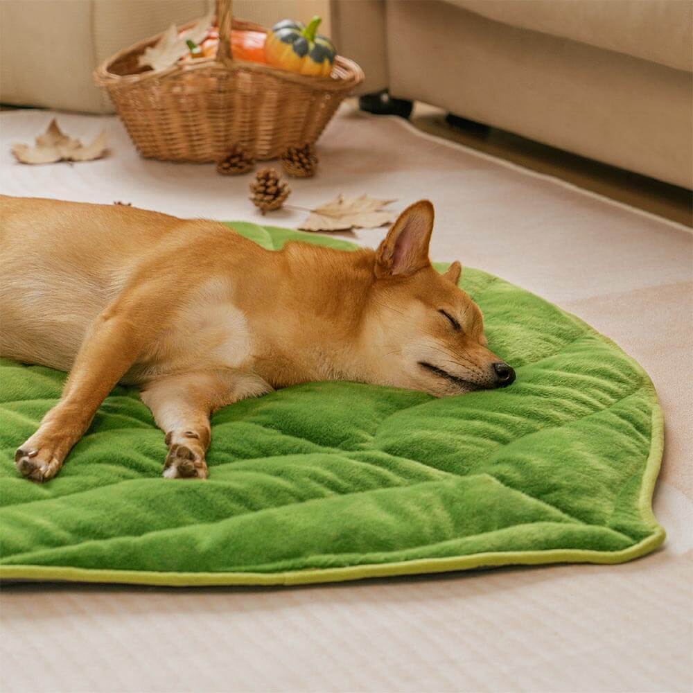 The Leaf Collector - Plush Leaf-Shaped Washable Dog Mat