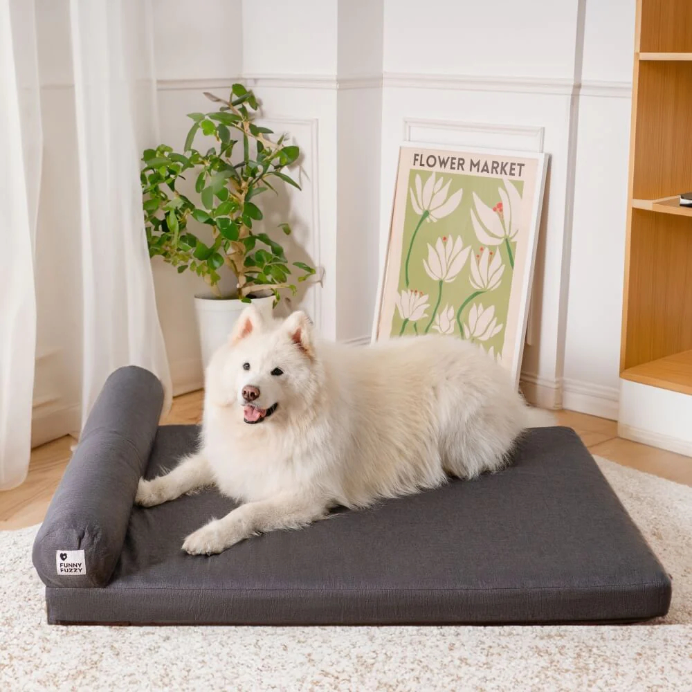 Thick Removable Orthopaedic Waterproof Dog Bed
