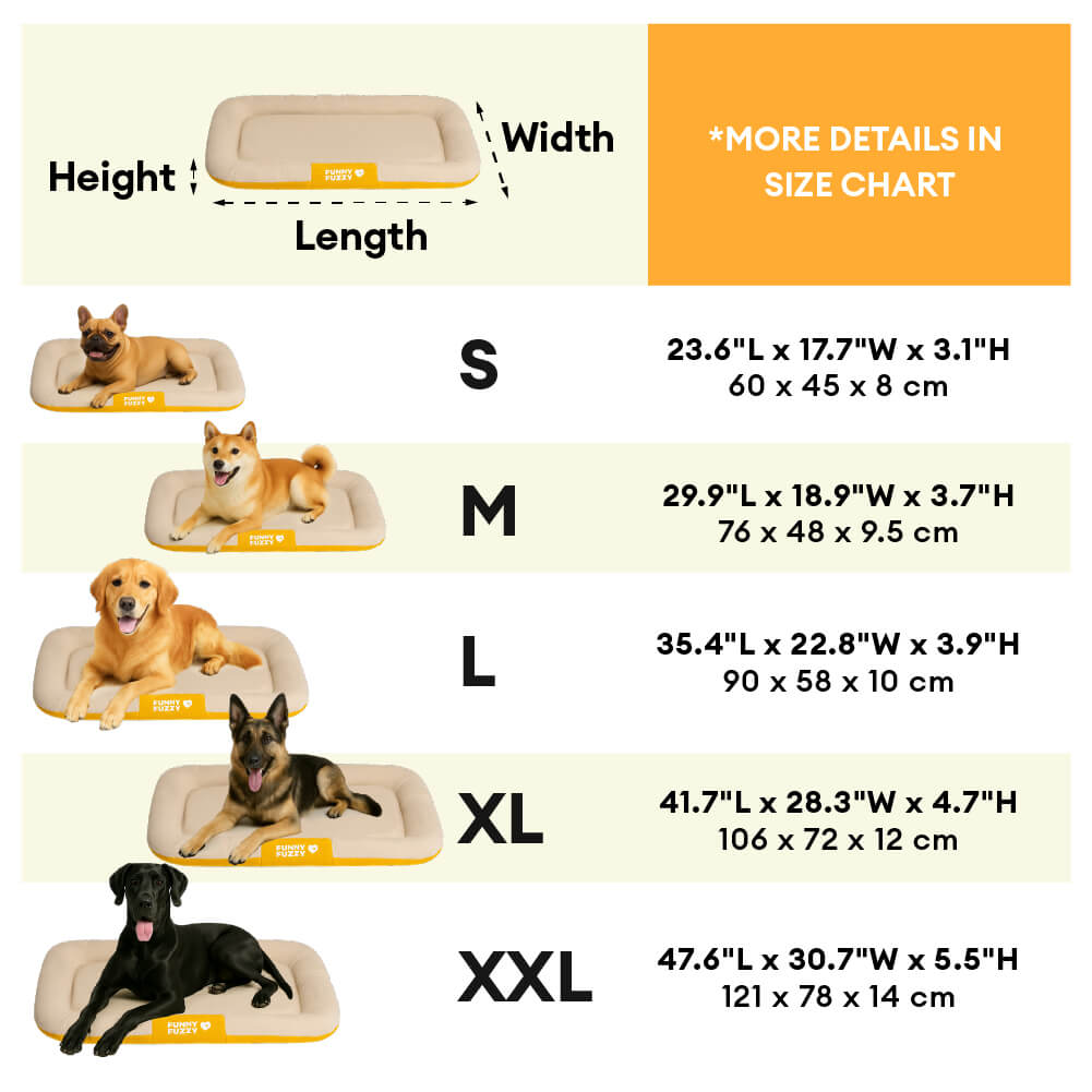 Outdoor Waterproof & Scratch-Resistant Color-Blocked Orthopedic Dog Mat - Trek Lounge
