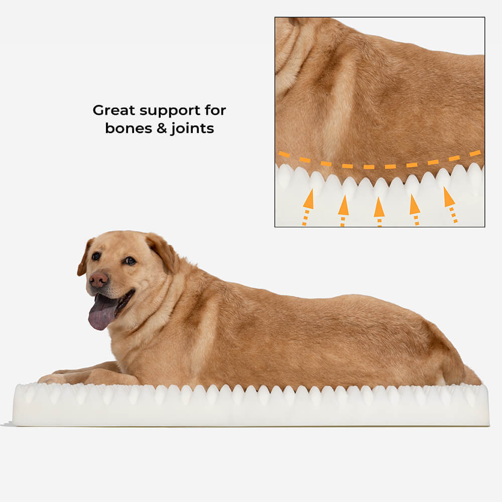Ultimate Cosy Plush Extra Large Sleep Deeper Orthopaedic Bed Human Dog Bed