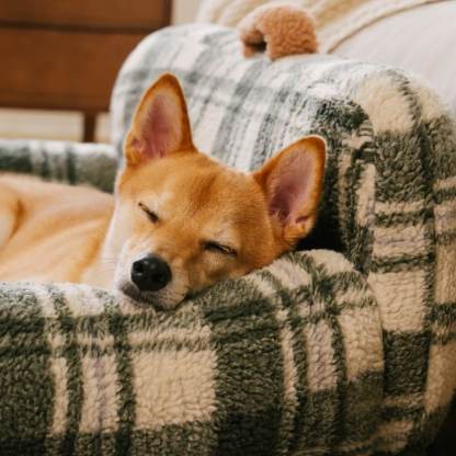 Vintage Chequered Washable Calming Dog & Cat Sofa Bed