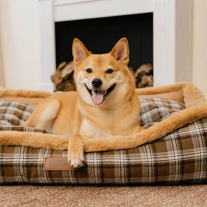 Vintage Chequered Washable Plush Cosy Bolster Dog Bed – TuckNap