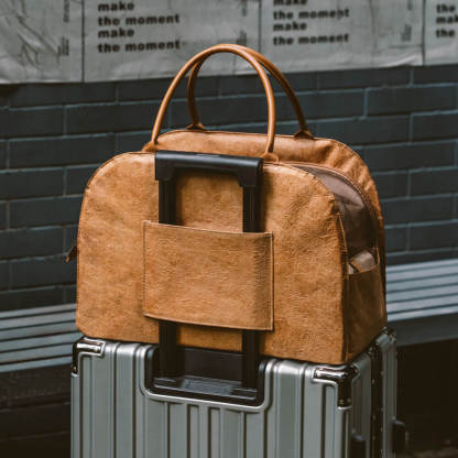 Vogue Eco-friendly Multi-functional Cat Travel Bag - City Roamer