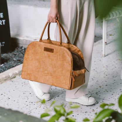 Vogue Eco-friendly Multi-functional Cat Travel Bag - City Roamer