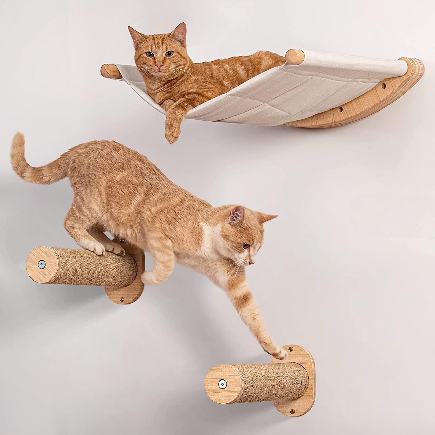 Cat wall mounts hotsell