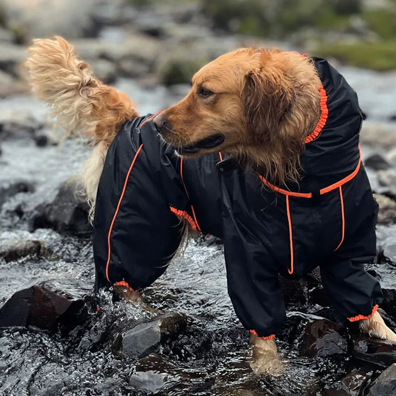 a dog wearing waterproof coat