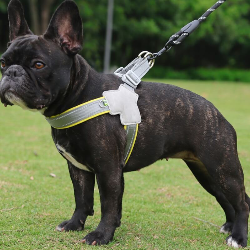 Chest harness for dog best sale