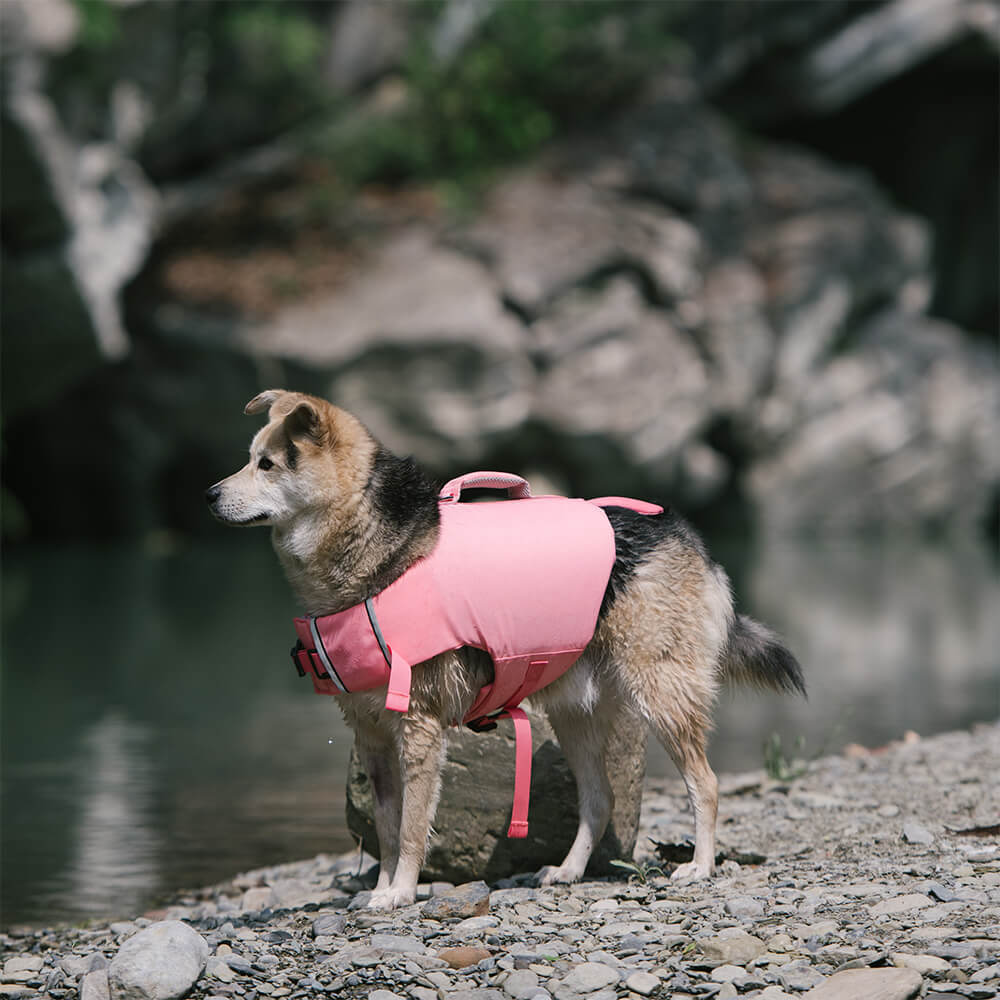 Crab Float Coat Dog Life Vest