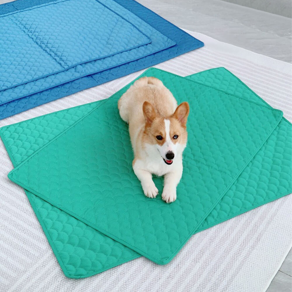 Doublesided Waterproof Pet Cooling MatFunnyFuzzy