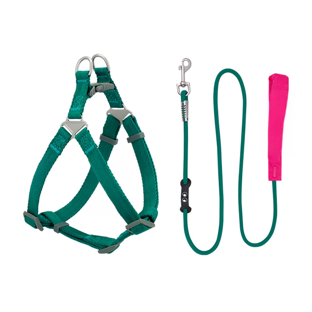 Easy to Wear Adjustable No-Pull Dog Harness Walk Set