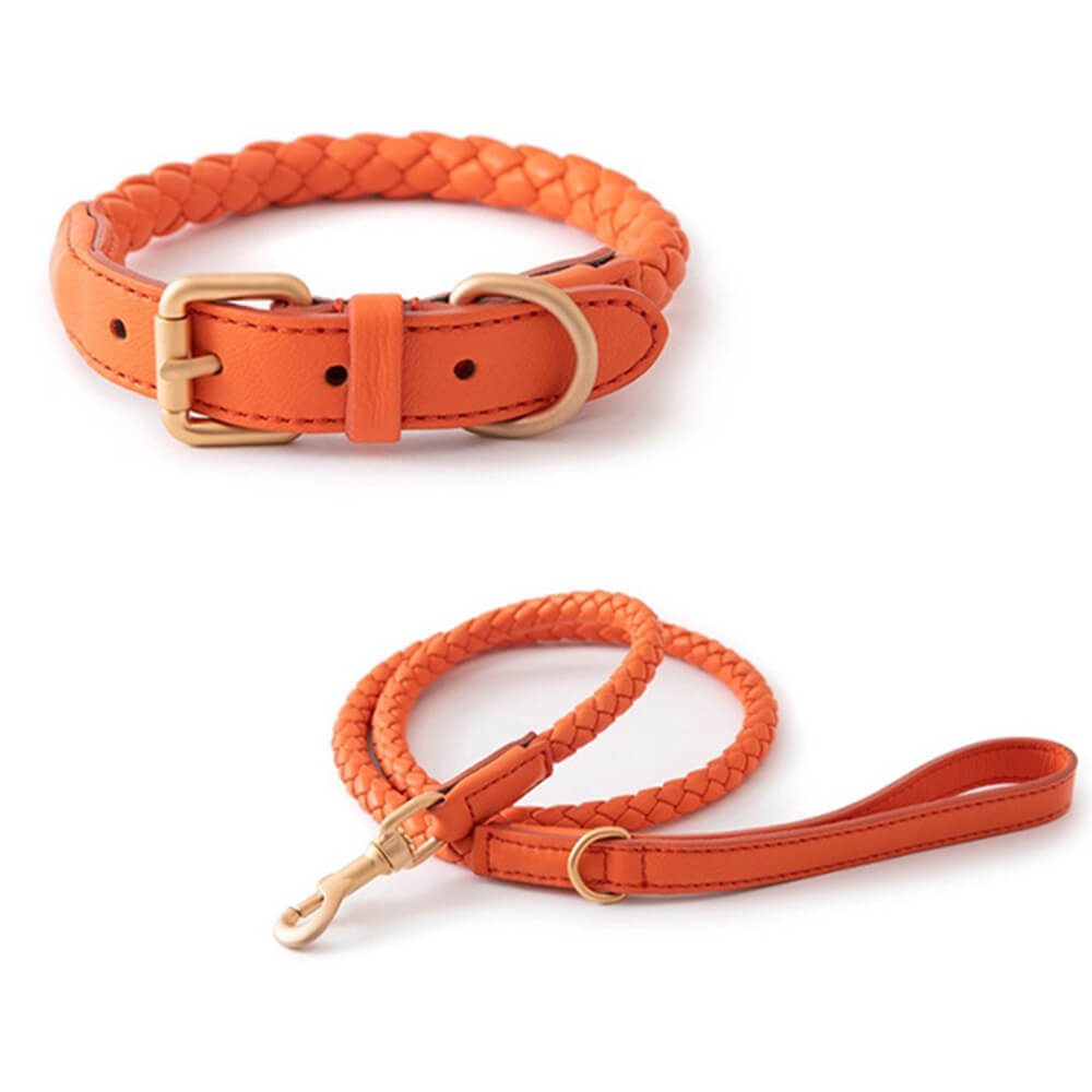 Hand Woven Faux Leather Puppy Collar and Lead Dog Walking Set FunnyFuzzy